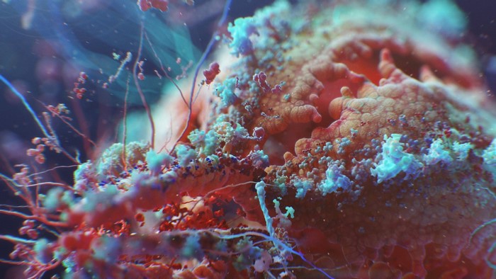 Microscopic view of cells and biological structures