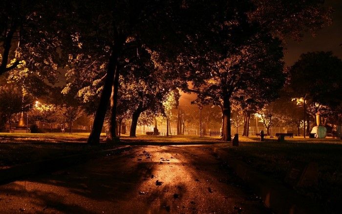Park at night with illuminated trees and path
