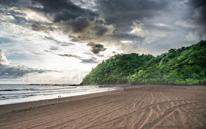 Beach with green forest and stormy sky