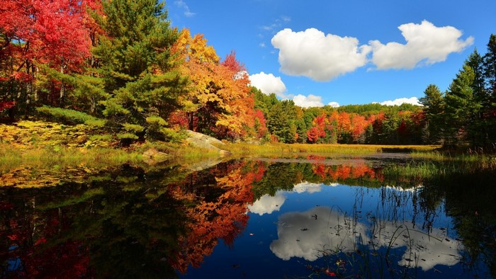 Autumn trees reflecting in a calm lake under a blue sky