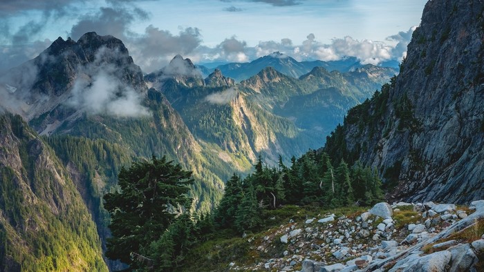 Mountain range with clouds and pine trees