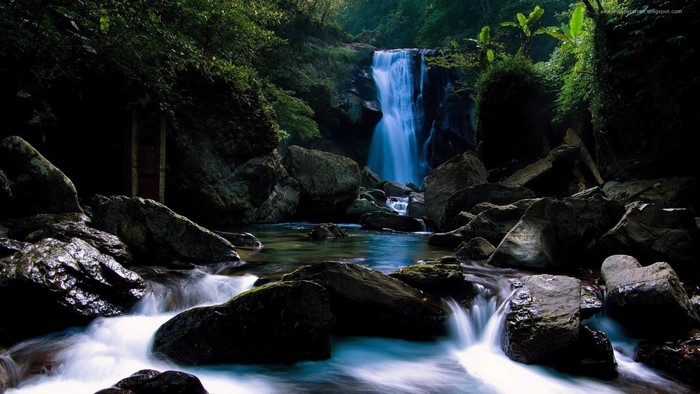 Waterfall in a rocky forest with lush vegetation