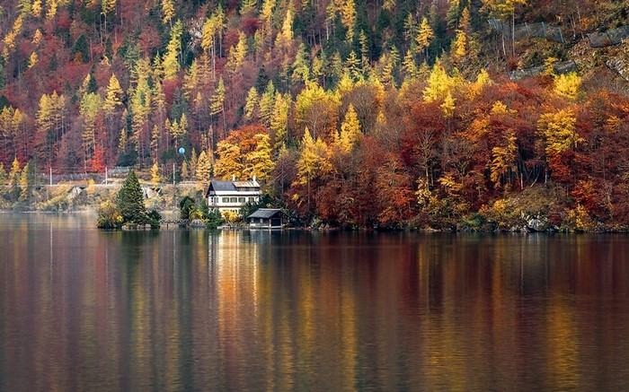 Colorful autumn forest reflecting in a lake with a house in Hallstatt, Austria