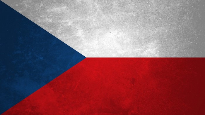 Flag of the Czech Republic with texture
