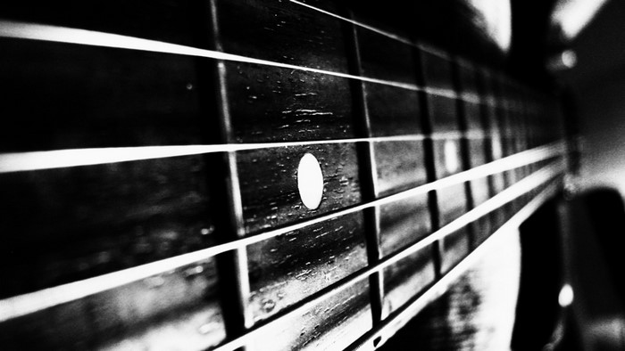 Close up of a black and white guitar fretboard