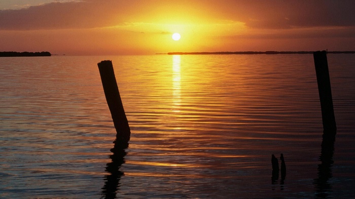 Sunset over the ocean with wooden posts