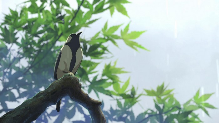 A bird perches on a branch in the rain