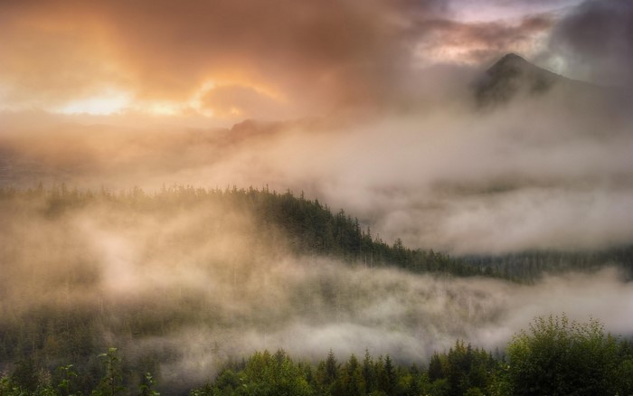 Misty mountains and forest at sunrise