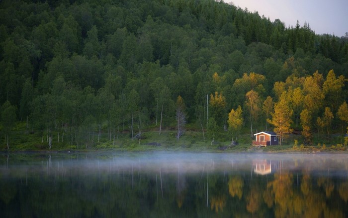 Cabin by a misty lake with a forest backdrop