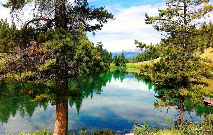 Trees reflecting in a clear lake with mountains in the background