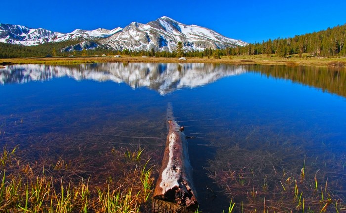 Lake reflection of snowy mountains and forest