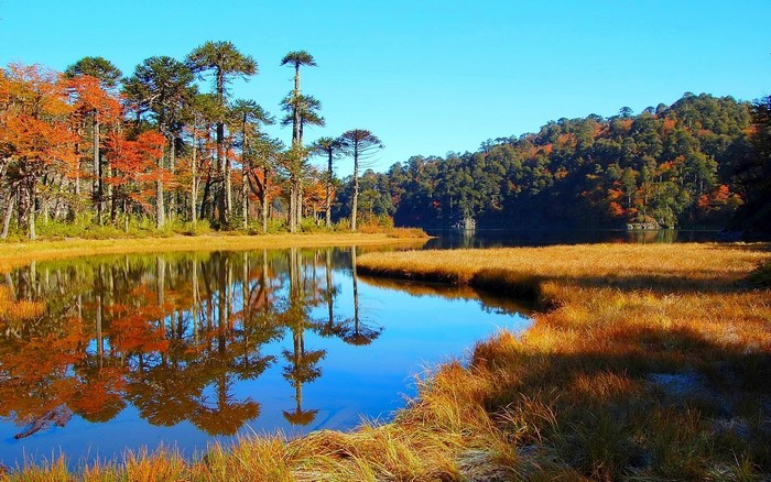 Autumn lake with reflections of trees and hills