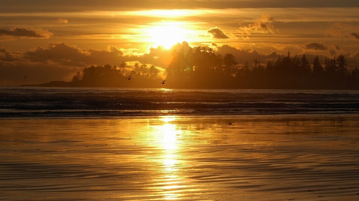 Sunset over a beach with trees and birds
