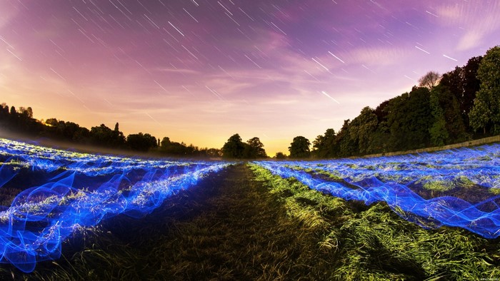 Light trails over a field at sunset with star trails