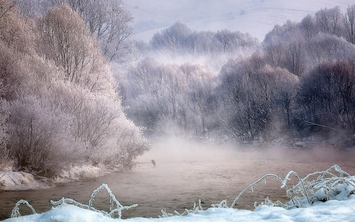 Winter landscape with a river and frosted trees