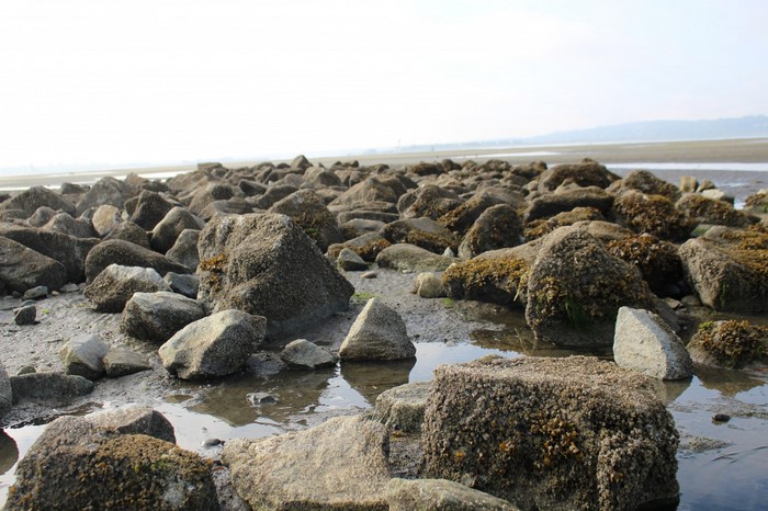 Rocky shore with calm ocean and sky