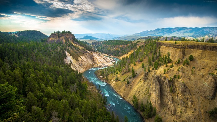 Yellowstone National Park River Landscape 4K