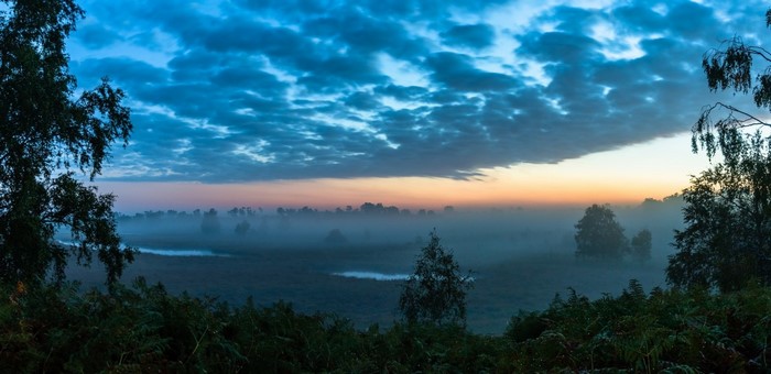 Misty landscape at dawn with trees and clouds