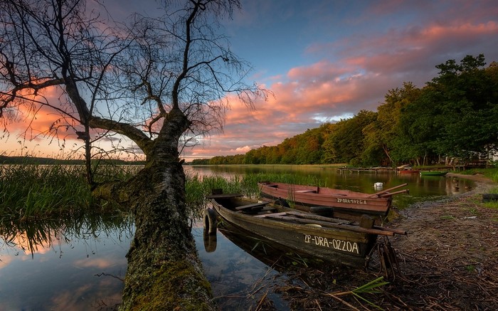 Boats on a lake at sunset with a fallen tree