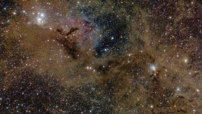 Space Nebula with Stars and Dust Clouds