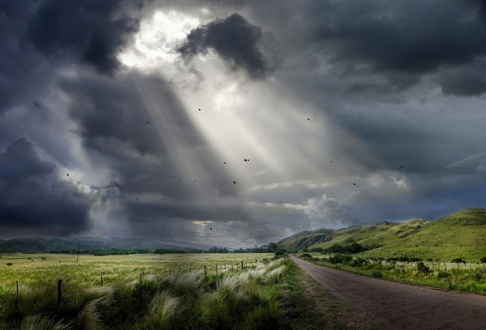 Sunbeams through storm clouds over a rural landscape with birds