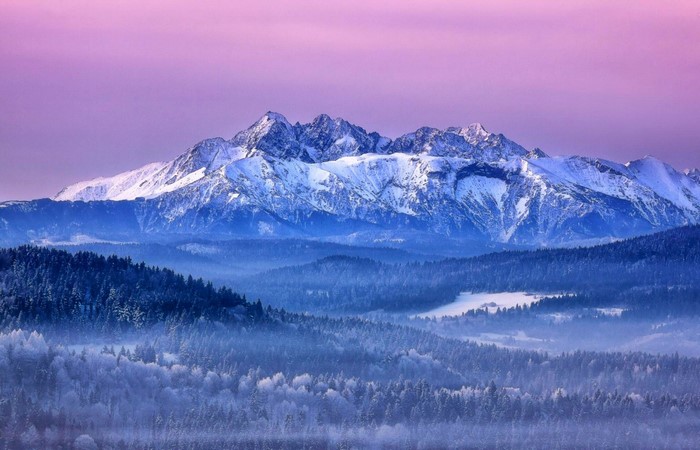 Snow-covered mountains at sunrise with misty forests