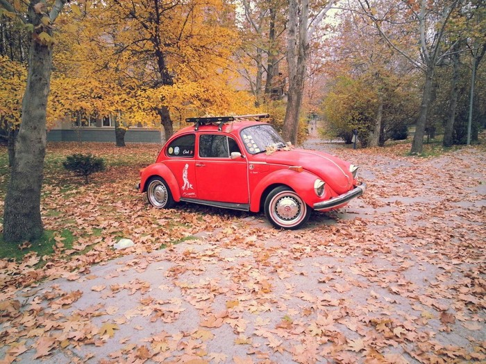 Red Volkswagen Beetle parked in autumn park