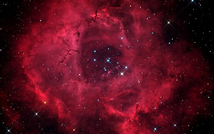 Rosette Nebula in Space