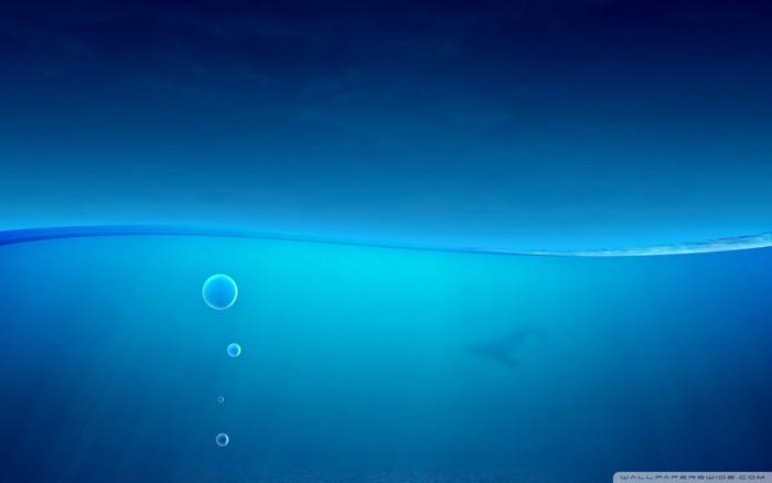 Underwater scene with bubbles and a whale