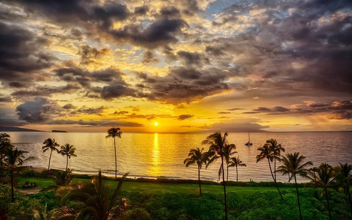 Sunset over the ocean with palm trees and a sailboat