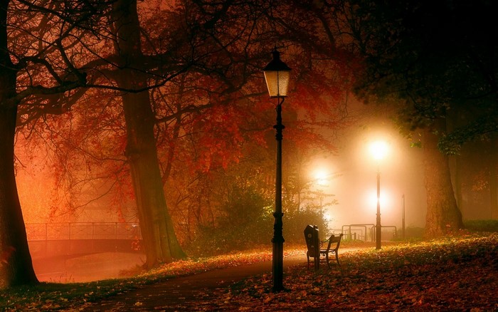 Misty Autumn Evening in a Forest Park