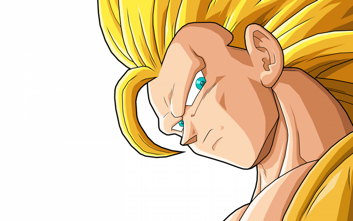Son Goku from Dragon Ball Super Saiyan 3