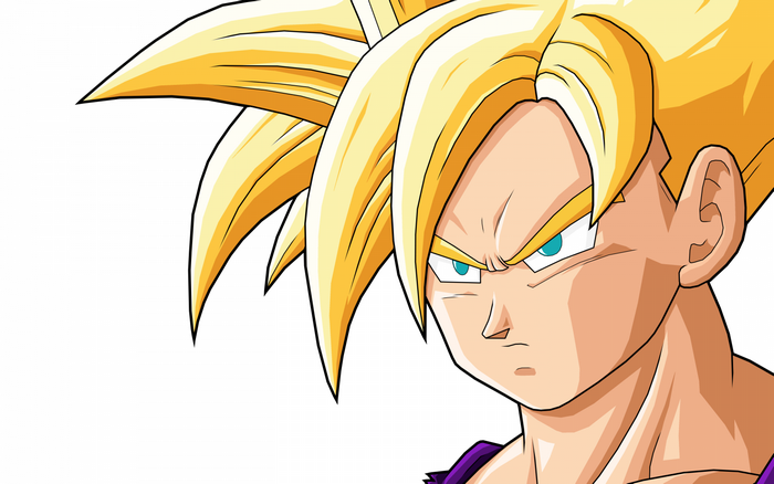 Son Gohan from Dragon Ball Z illustration