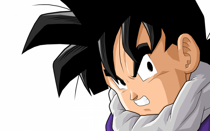 Gohan from Dragon Ball Z