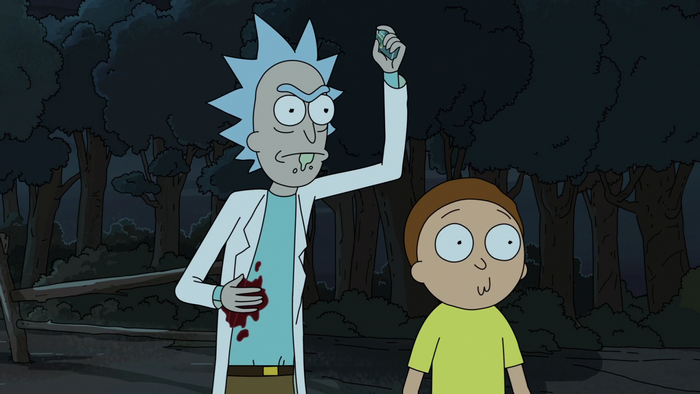 Rick and Morty in a forest at night
