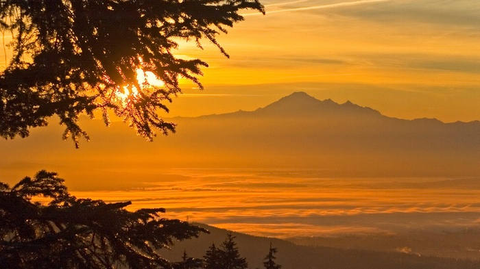 Sunrise over mountains with pine tree foreground