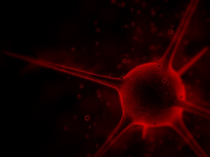 Red neuron cell with branches in darkness