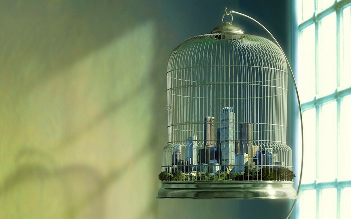 City skyline inside a birdcage