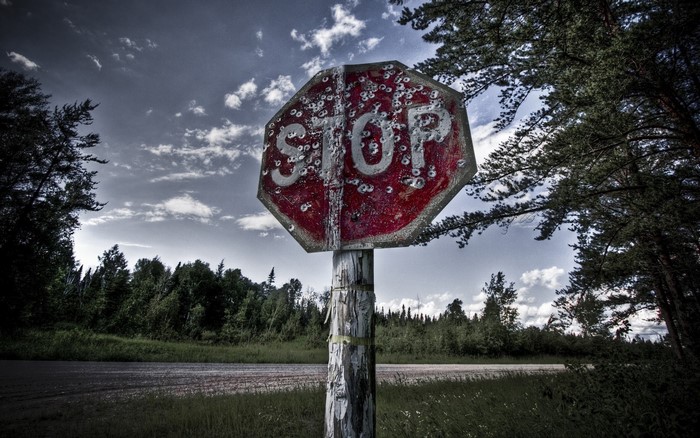 Bullet-riddled stop sign in a forest