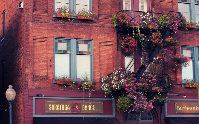 Brick building with fire escape and flowers