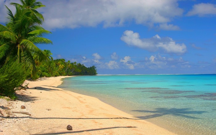 Tropical beach with palm trees and turquoise water