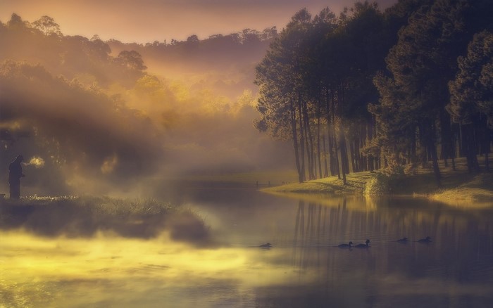 Fisherman by a misty lake at sunrise with ducks