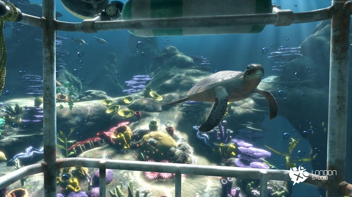 Sea Turtle swimming in aquarium with London Studio logo