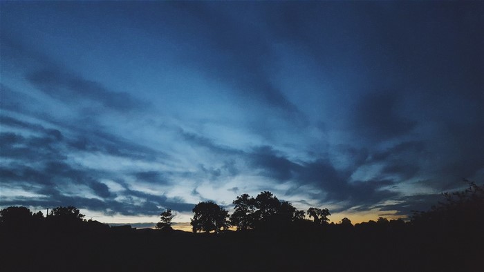 Silhouette of trees against a dramatic twilight sky
