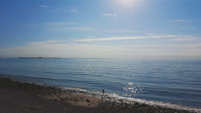 Person and dog on a rocky beach with the ocean and sky