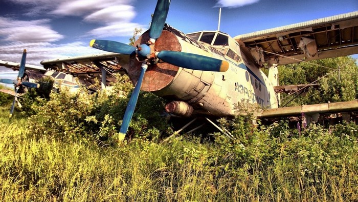 Abandoned Antonov An-2 aircraft in overgrown field