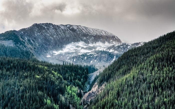 Snow-Capped Mountain and Dense Forest Valley in Colorado