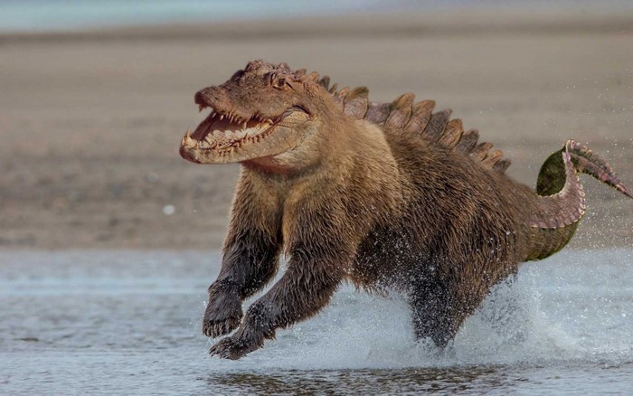 Bear-crocodile hybrid running through water
