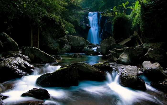 Waterfall in a dense forest with rocks and a stream