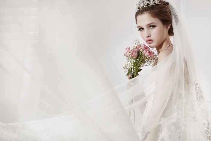 Elegant Bride in Wedding Dress with Veil